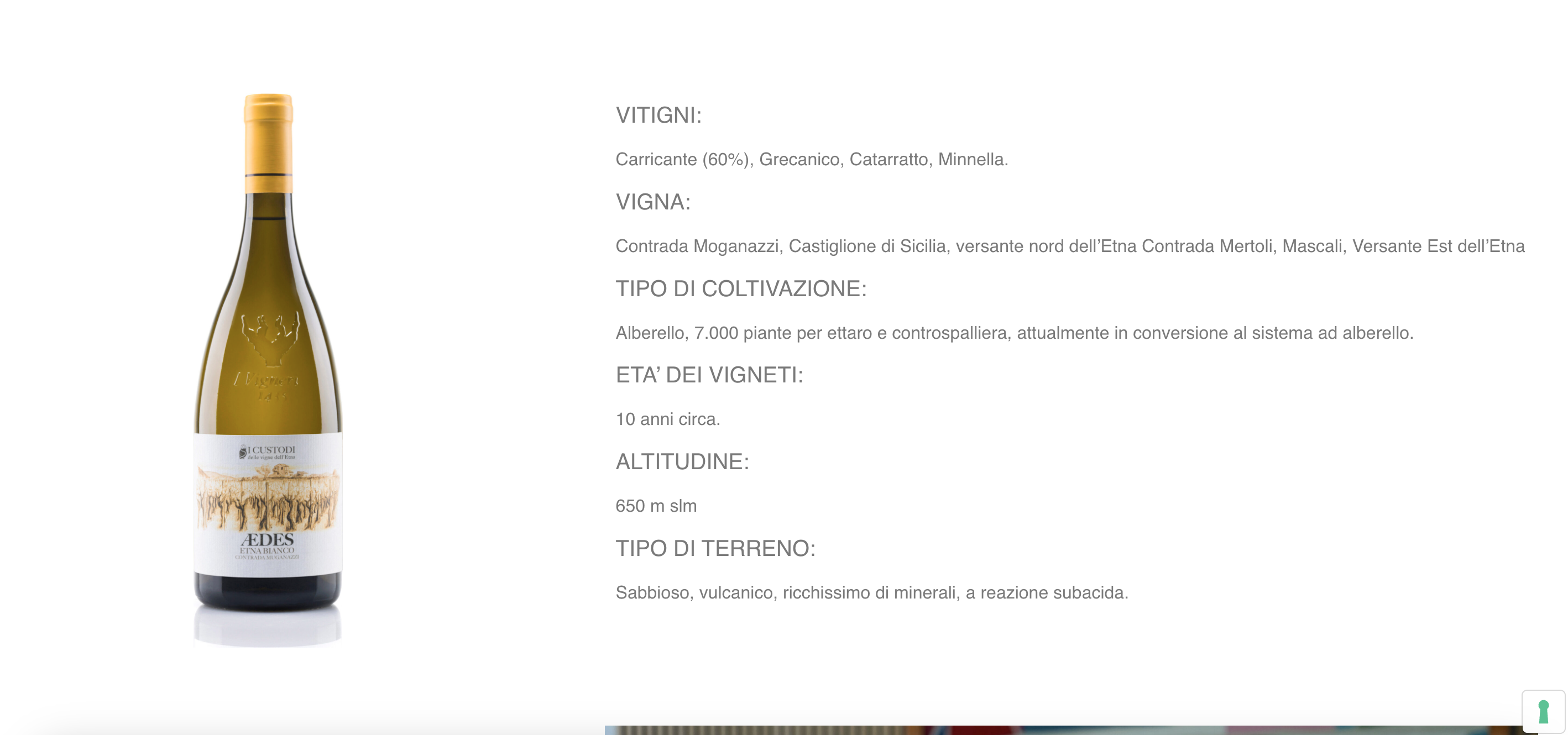 Screenshot 2026-08-13 alle 17.17.28